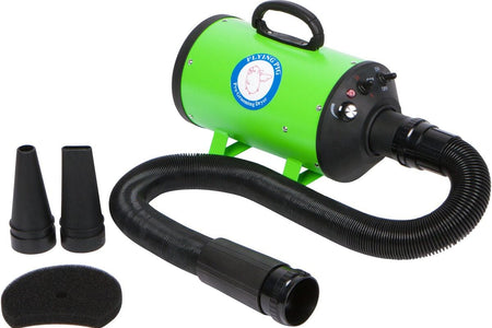 Flying Pig High Velocity Dog Pet Grooming Dryer W/Heater (Model: Flying One, Green)
