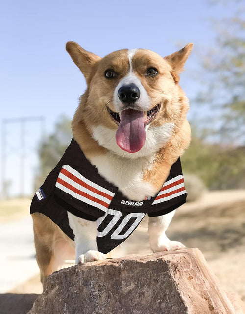 Load image into Gallery viewer, NFL Cleveland Browns Dog Jersey - Medium, Football Jersey Costume for Dogs

