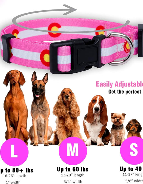 Load image into Gallery viewer, Colorado State Flag Dog Collar (Colorado Pink, Medium)

