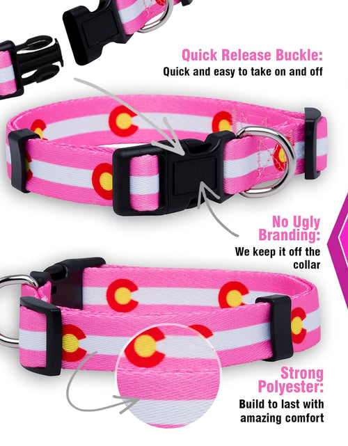 Load image into Gallery viewer, Colorado State Flag Dog Collar (Colorado Pink, Medium)
